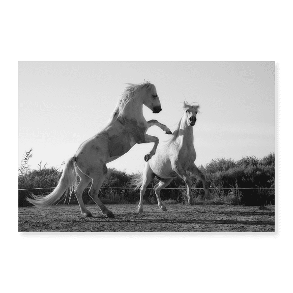 Art Print (Unframed), Horse Dance by The Yellowstone Collection, 16" x 20"