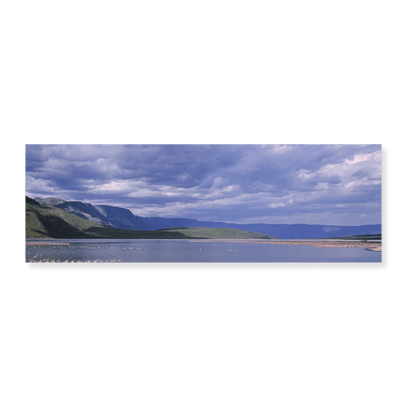 Art Print (Unframed), Kenya by Panoramic Images, 36" x 12"