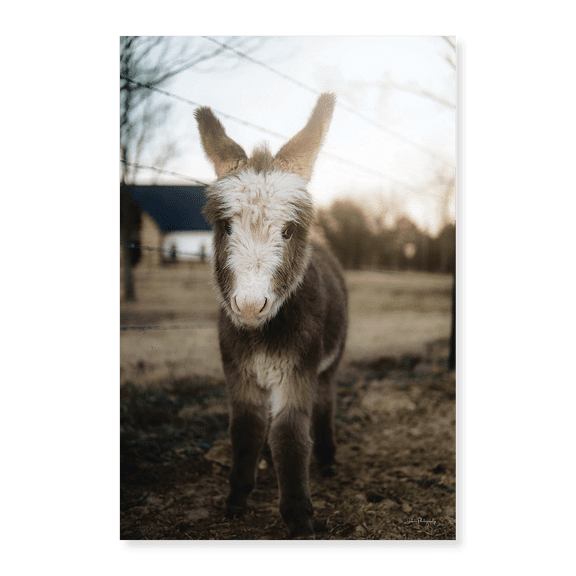 Art Print (Unframed), Lil Lucy by Dakota Diener, 16" x 20"
