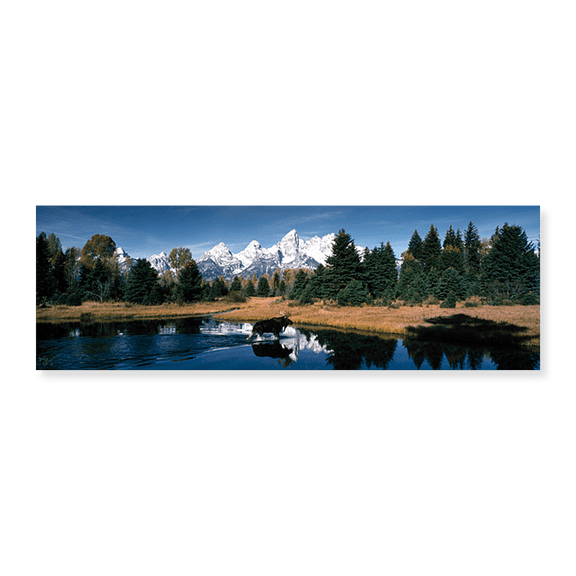 Art Print (Unframed), Moose & Beaver Pond Grand Teton National Park WY U by Panoramic Images, 24" x 8"