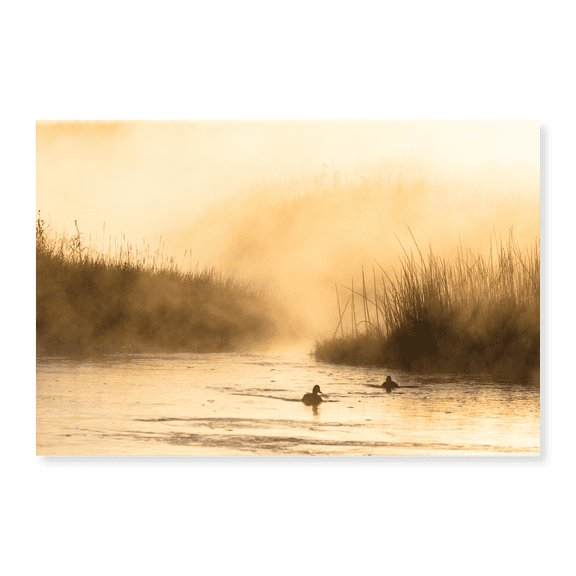 Art Print (Unframed), Morning Steam on the Madison River, Yellowstone National Park by The Yellowstone Collection, 16" x 20"