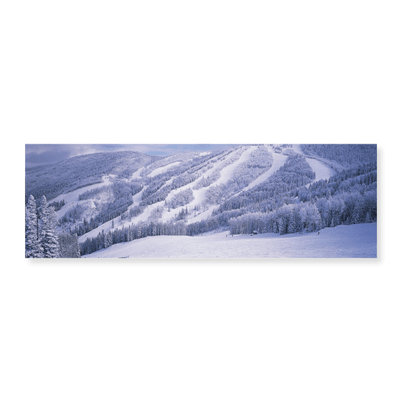 Art Print (Unframed), Mountains by Panoramic Images, 36" x 12"