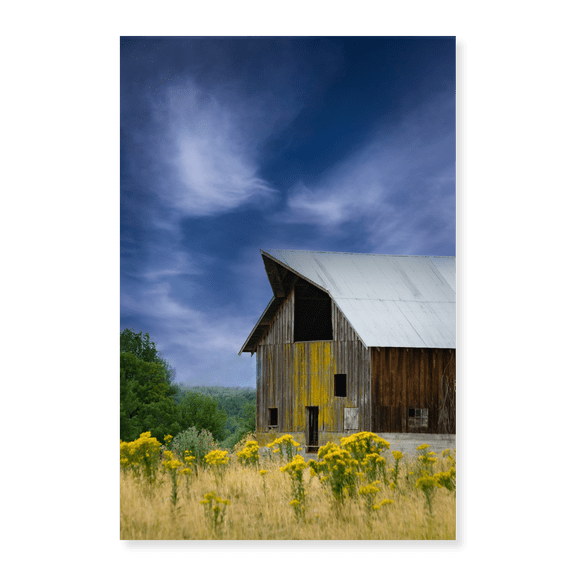Art Print (Unframed), Old Barn in a Summer Field by Don Schwartz, 16" x 20"
