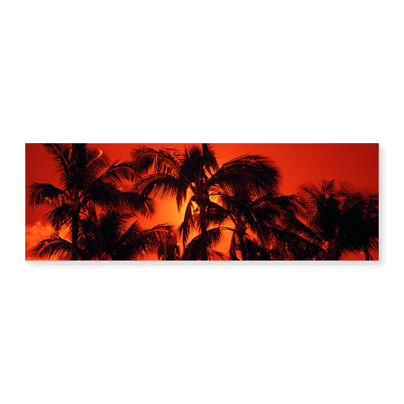 Art Print (Unframed), Palm trees at dusk by Panoramic Images, 24" x 8"