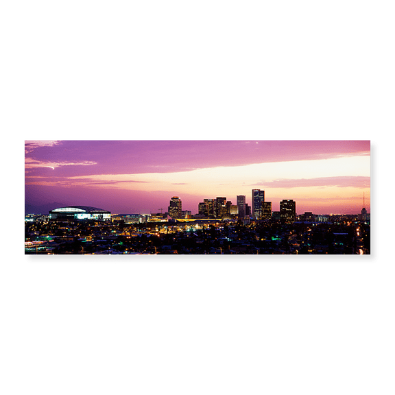 Art Print (Unframed), Phoenix with Purple Sky by Panoramic Images, 24" x 8"
