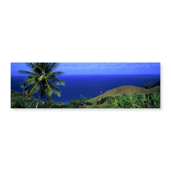 Art Print (Unframed), Pigeon Point Tobago by Panoramic Images, 24" x 8"