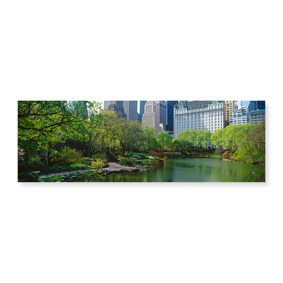 Art Print (Unframed), Pond in a park by Panoramic Images, 24" x 8"