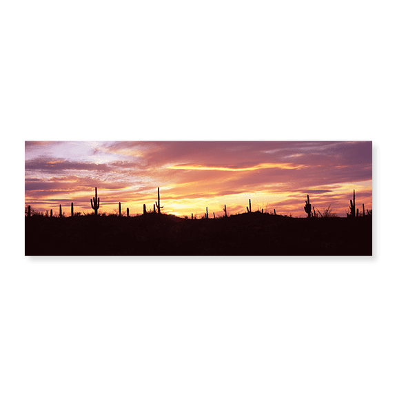 Art Print (Unframed), Purple and Orange Sky Over Saguaro Nataional Park by Panoramic Images, 30" x 10"