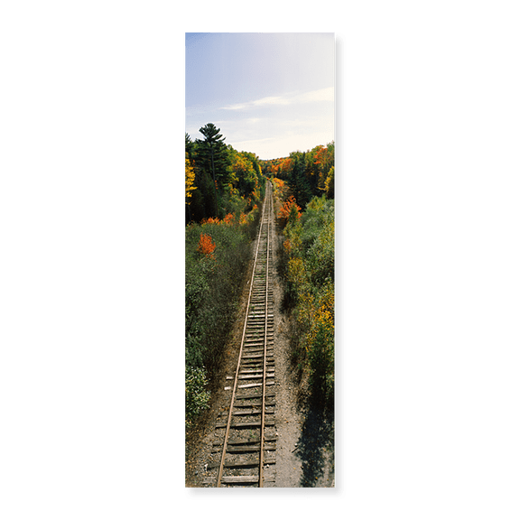 Art Print (Unframed), Railroad tracks along Route 1A between Ellsworth a by Panoramic Images, 24" x 8"