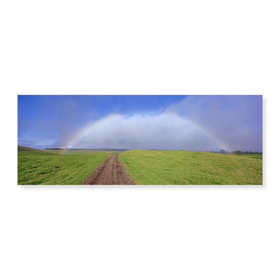 Art Print (Unframed), Rainbow Over A Landscape by Panoramic Images, 24" x 8"