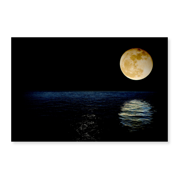 Art Print (Unframed), Reflecting the Moon by Artographie, 16" x 20"