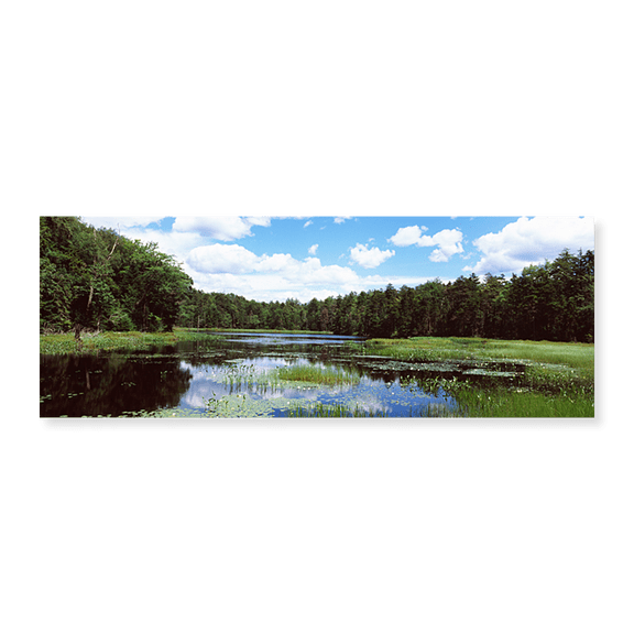 Art Print (Unframed), Reflection of clouds in a pond by Panoramic Images, 24" x 8"