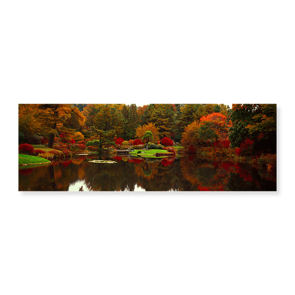 Art Print (Unframed), Reflection of trees in water by Panoramic Images, 24" x 8"
