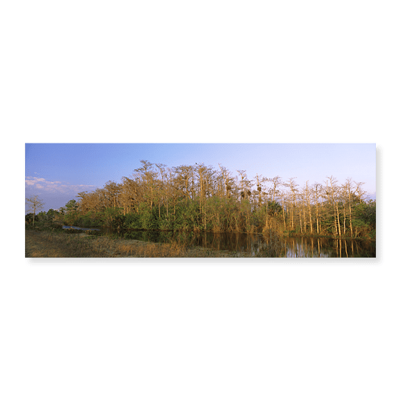 Art Print (Unframed), Reflection of trees in water by Panoramic Images, 24" x 8"