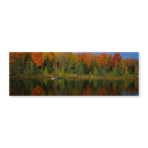 Art Print (Unframed), Reflection of trees in water by Panoramic Images, 24" x 8"