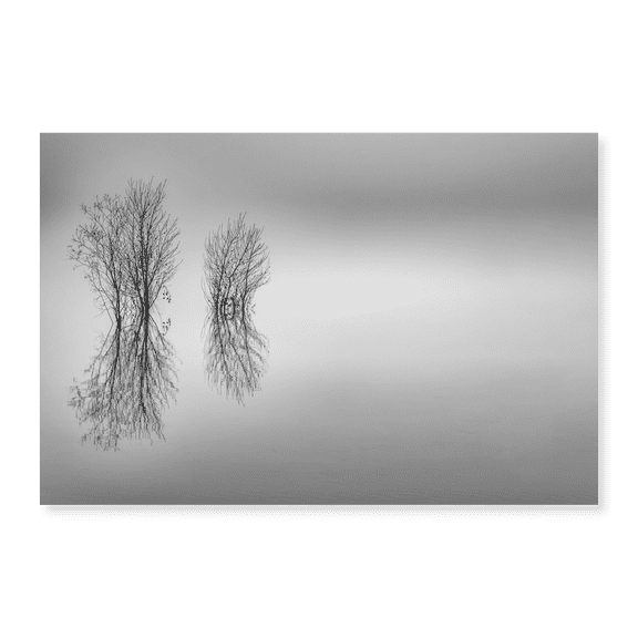 Art Print (Unframed), Rivers Edge by Don Schwartz, 16" x 20"