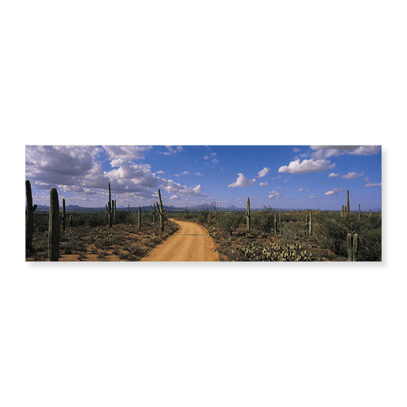 Art Print (Unframed), Road by Panoramic Images, 24" x 8"