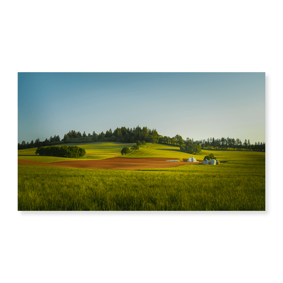 Art Print (Unframed), Rolling Hills, Tranquil Farm I by Don Schwartz, 10" x 16"