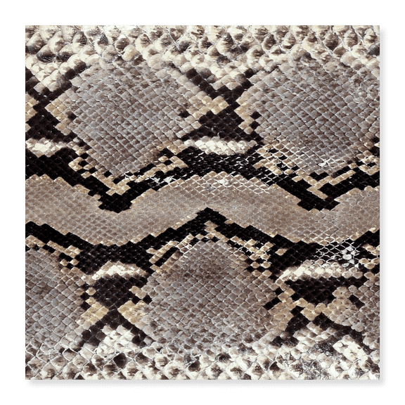Art Print (Unframed), Snake Skin by Artographie, 18" x 24"