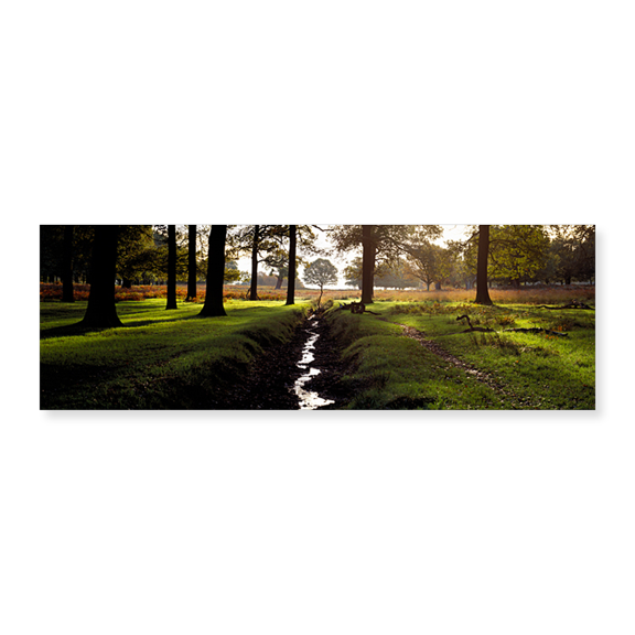 Art Print (Unframed), Stream passing through a park by Panoramic Images, 24" x 8"