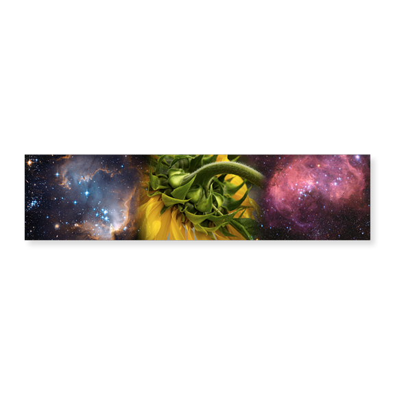 Art Print (Unframed), Sunflower in the Hubble cosmos by Panoramic Images, 24" x 8"