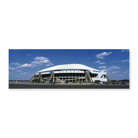 Art Print (Unframed), Texas Stadium by Panoramic Images, 36" x 12"