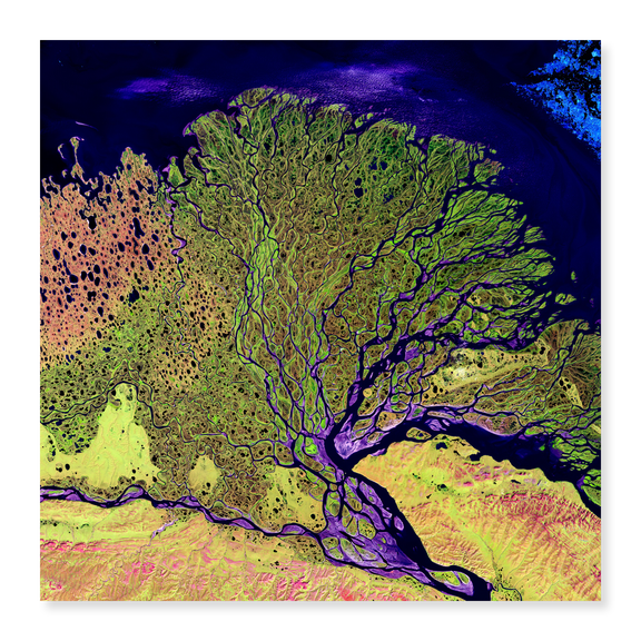 Art Print (Unframed), The Lena River is one of the Largest Rivers in the World by NASA, 16" x 20"