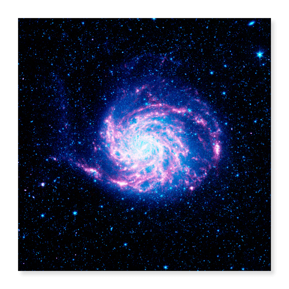 Art Print (Unframed), The Pinwheel Galaxy by NASA, 18" x 24"