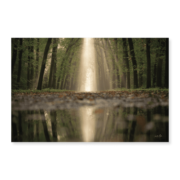 Art Print (Unframed), The Puddle by Martin Podt, 16" x 20"