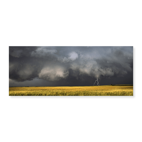 Art Print (Unframed), Thunderstorm advancing over a field by Panoramic Images, 15" x 24"