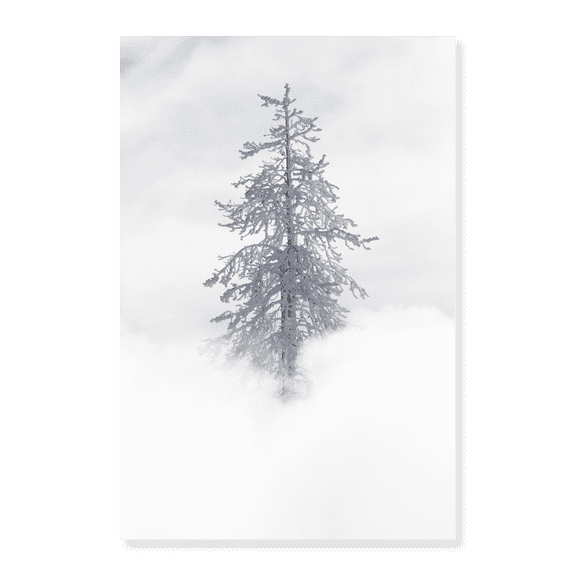 Art Print (Unframed), Tree Covered in Rime ice near Mud Volcano, Yellowstone National Park by The Yellowstone Collection, 16" x 20"