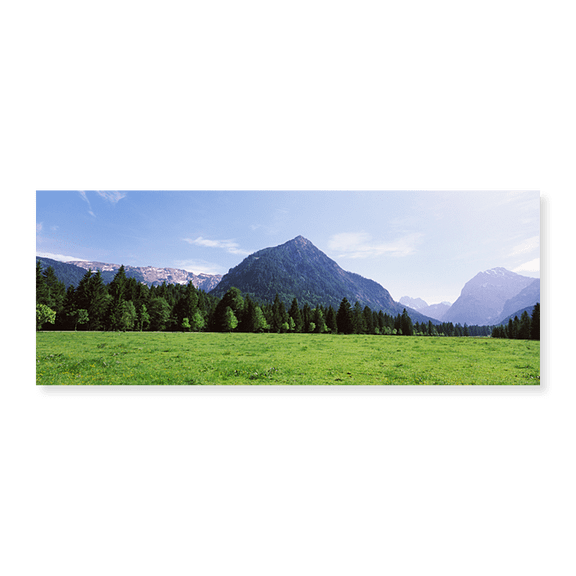 Art Print (Unframed), Trees on a hill with mountain range in the backgro by Panoramic Images, 12-1/2" x 20"