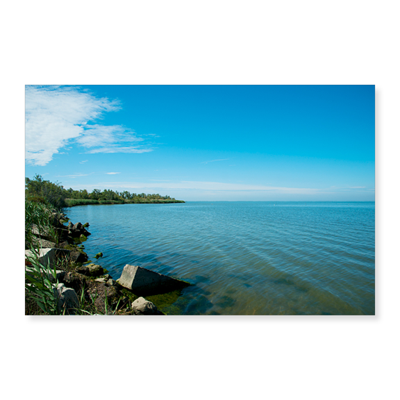 Art Print (Unframed), View of a lake by Panoramic Images, 16" x 20"