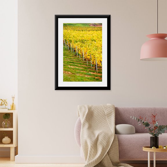 Art Print (Unframed), Vineyard by Panoramic Images, 16" x 20"