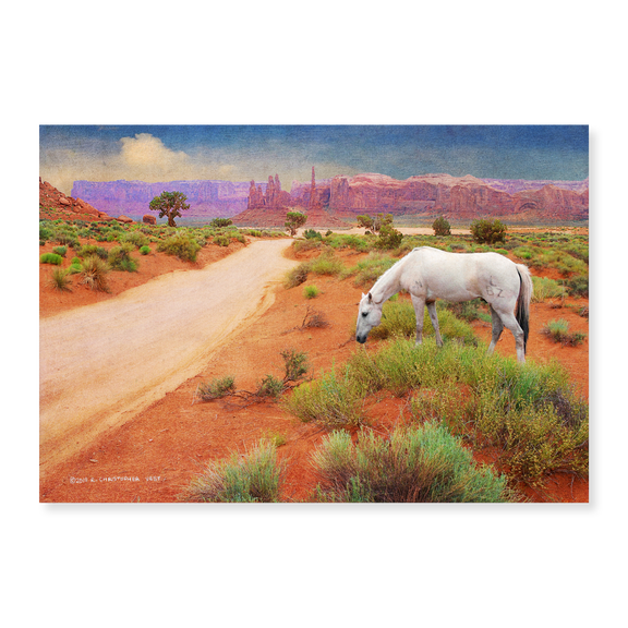Art Print (Unframed), White Horse Road in Monument Valley by Christopher Vest, 18" x 24"