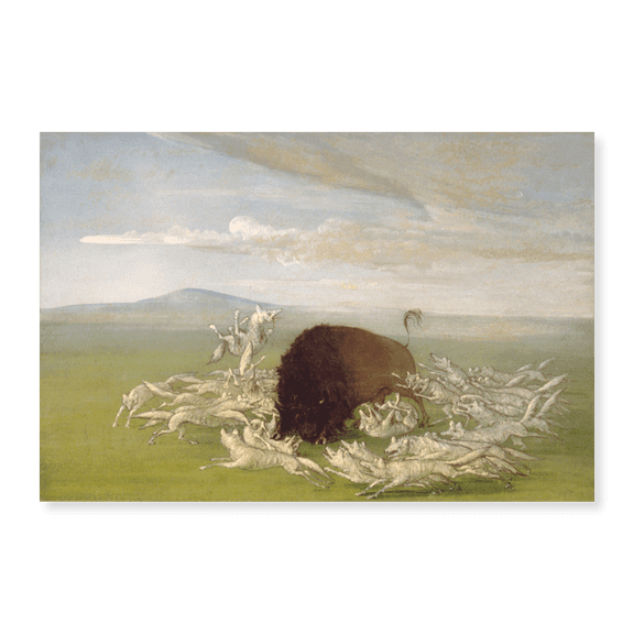 Art Print (Unframed), White Wolves Attacking a Buffalo Bull by George Catlin, 18" x 24"