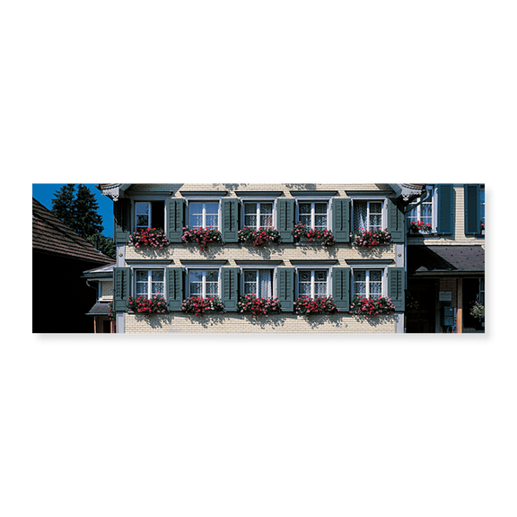 Art Print (Unframed), Windows with Flower Boxes by Panoramic Images, 24" x 8"