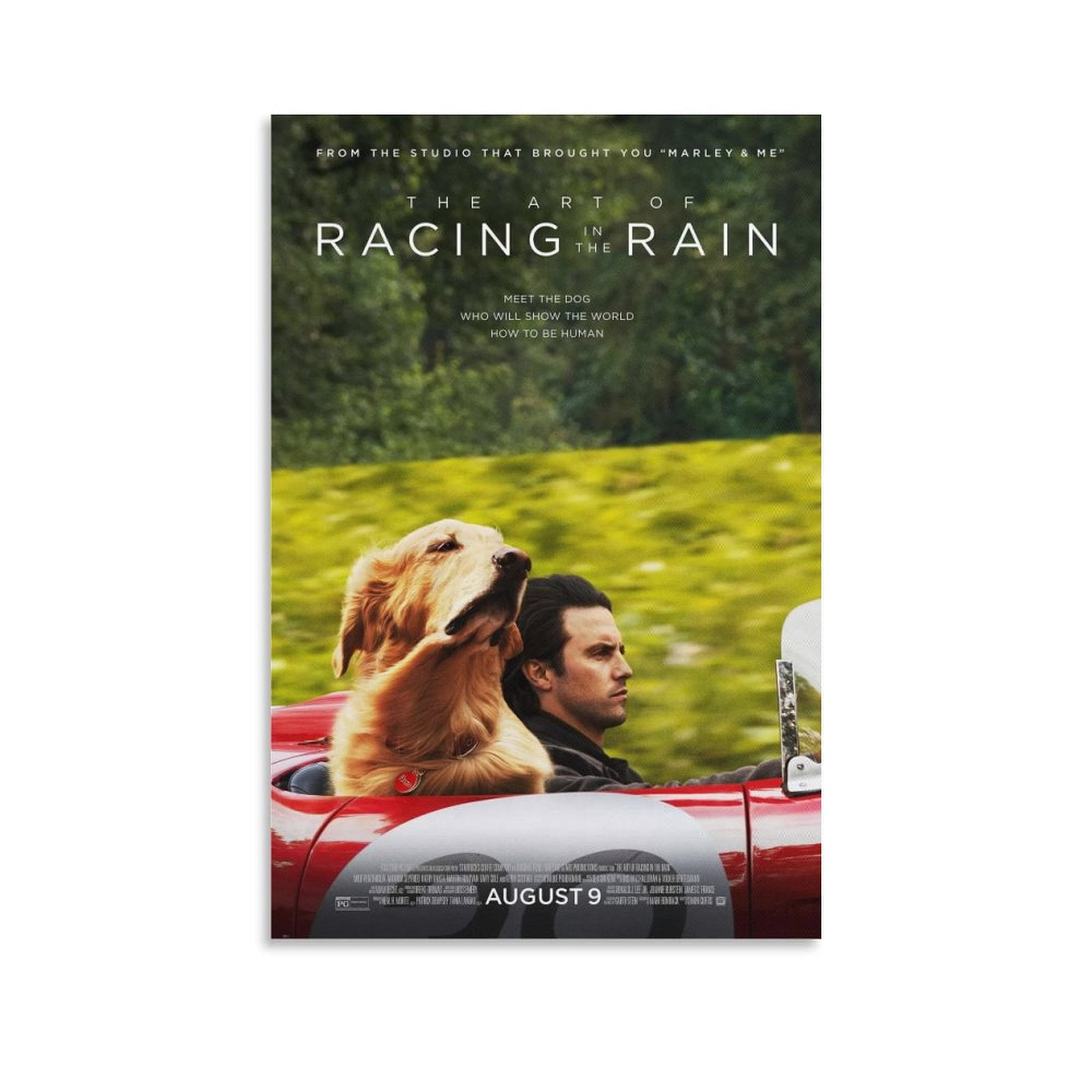 The Art Of Racing In The Rain Moive Poster Poster Cool Artworks ...