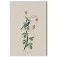 thumbnail image 1 of Art Remedy Botanical Prints Canvas, 10" x 15", Gallery Wrapped, Blue Warbler 1832, 1 of 7