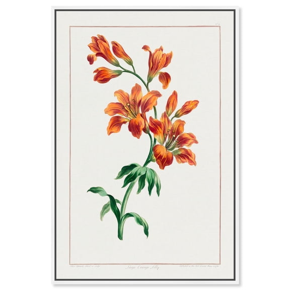 Art Remedy Botanical Prints Canvas, 10" x 15", White Frame, Large Orange Lily