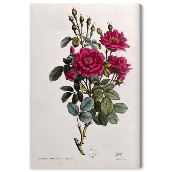 Art Remedy Botanical Prints Canvas, 16" x 24", Gallery Wrapped, Whispers of the Rose
