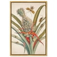 thumbnail image 1 of Art Remedy Botanical Prints Canvas, 16" x 24", Gold Frame, Merian Metamorphosis, 1 of 7
