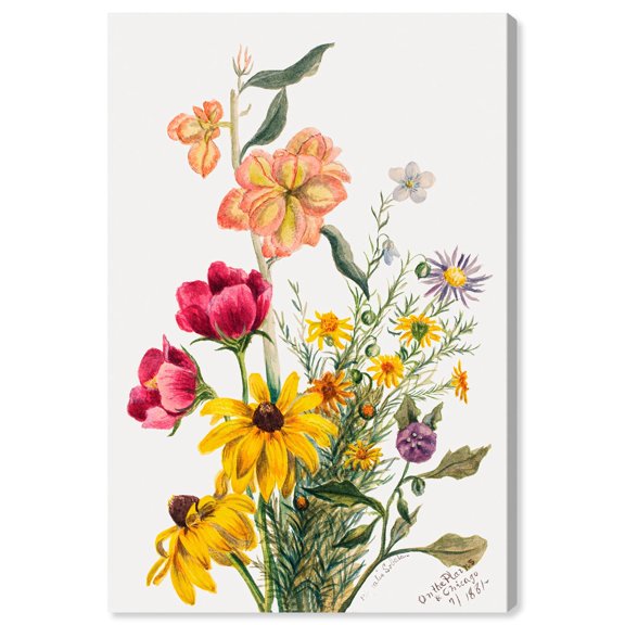 Art Remedy Botanical Prints Canvas, 24" x 36", Gallery Wrapped, Group of Flowers by Mary Vaux