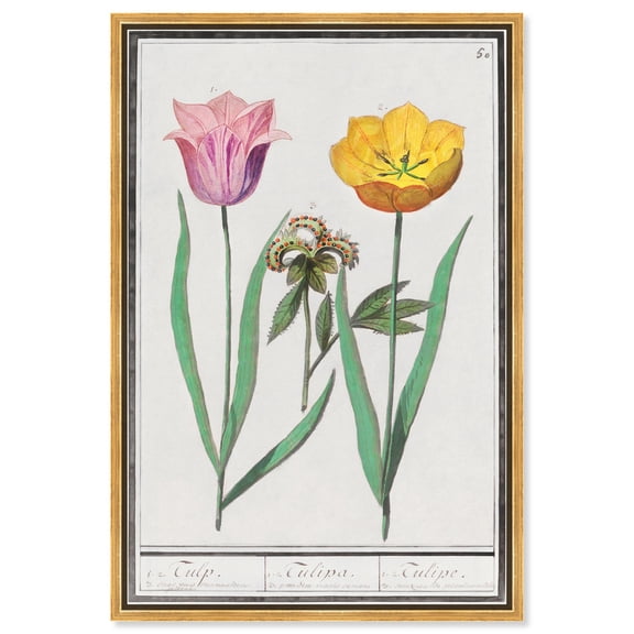 Art Remedy Botanical Prints Canvas, 24" x 36", Gold Frame, Pink Tulip