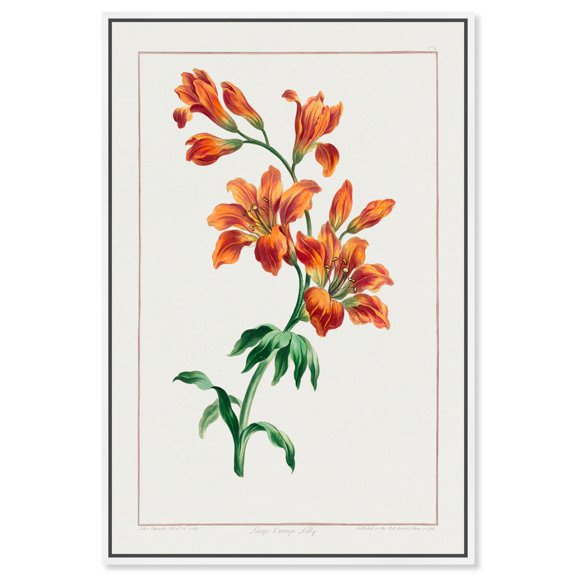 Art Remedy Botanical Prints Canvas, 30" x 45", White Frame, Large Orange Lily