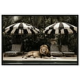 thumbnail image 1 of Art Remedy Retro Photography Canvas, 24" x 16", Black Frame, Luxe of the Jungle King, 1 of 7