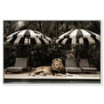 thumbnail image 1 of Art Remedy Retro Photography Canvas, 30" x 20", White Frame, Luxe of the Jungle King, 1 of 7
