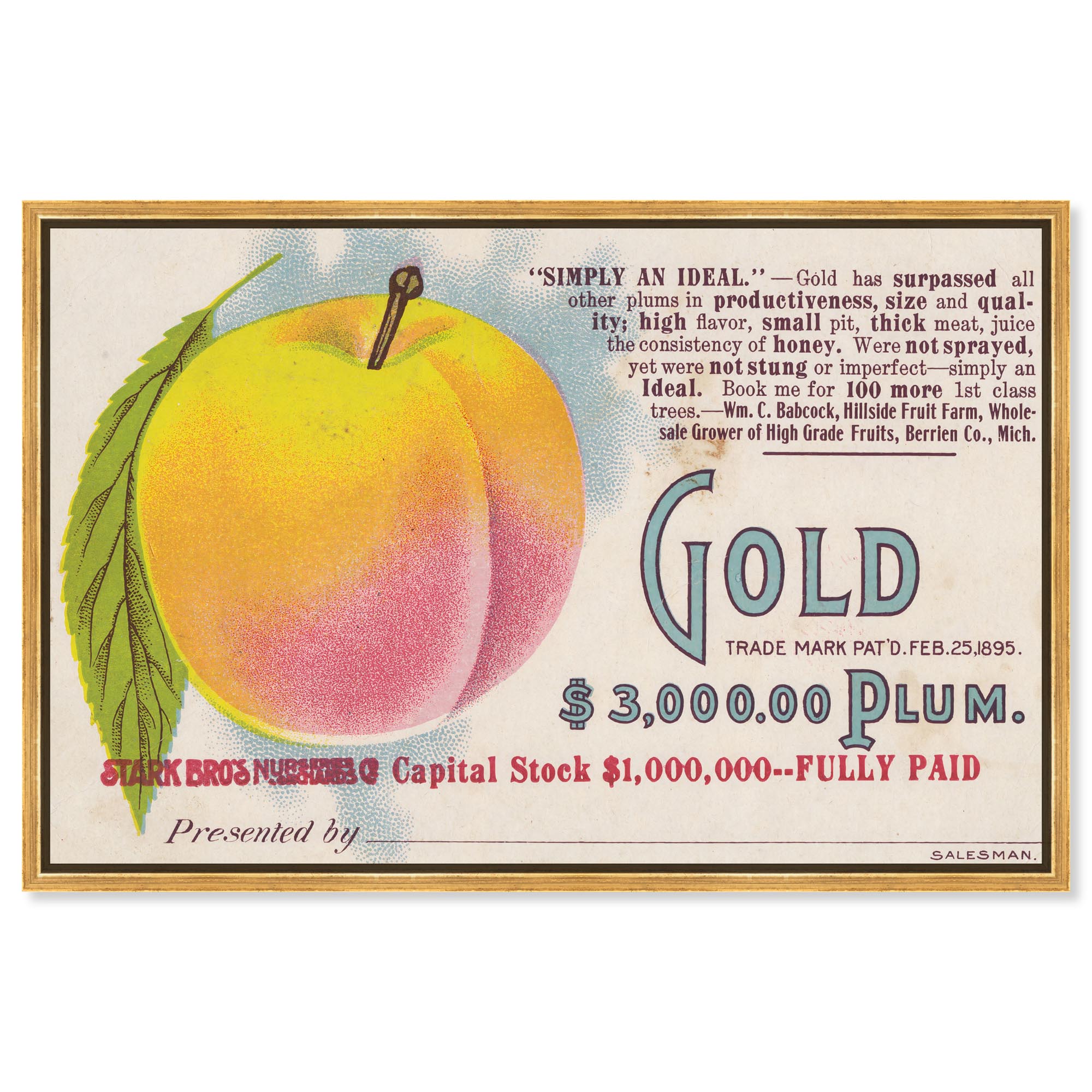 Art Remedy Retro Posters Canvas, 45" x 30", Gold Frame, Gold Plum ...