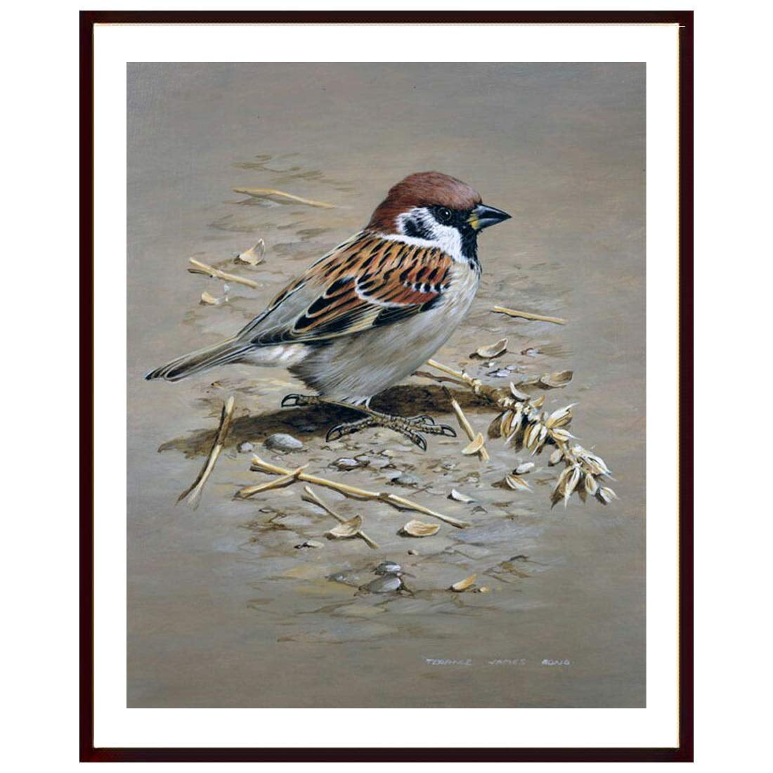 Art Sparrow And Spring Blossom Art Photo Frame Without Glass Photo