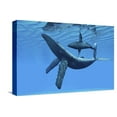 thumbnail image 1 of Art.com A Humpback Whale Calf Swims around its Mother in the Ocean Stretched Canvas Print Wall Art, 18" x 12", 1 of 4